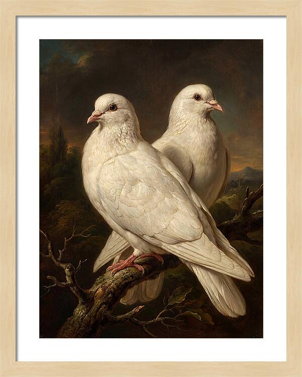 Doves Perched In Harmony
