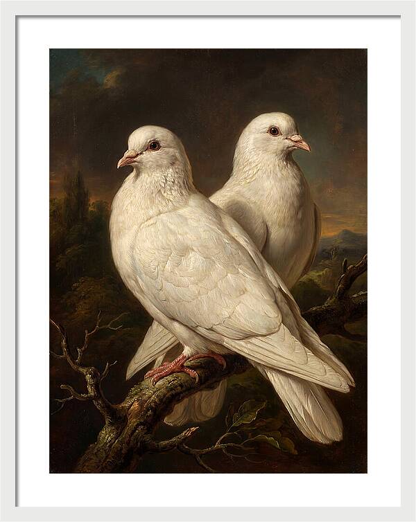 Doves Perched In Harmony