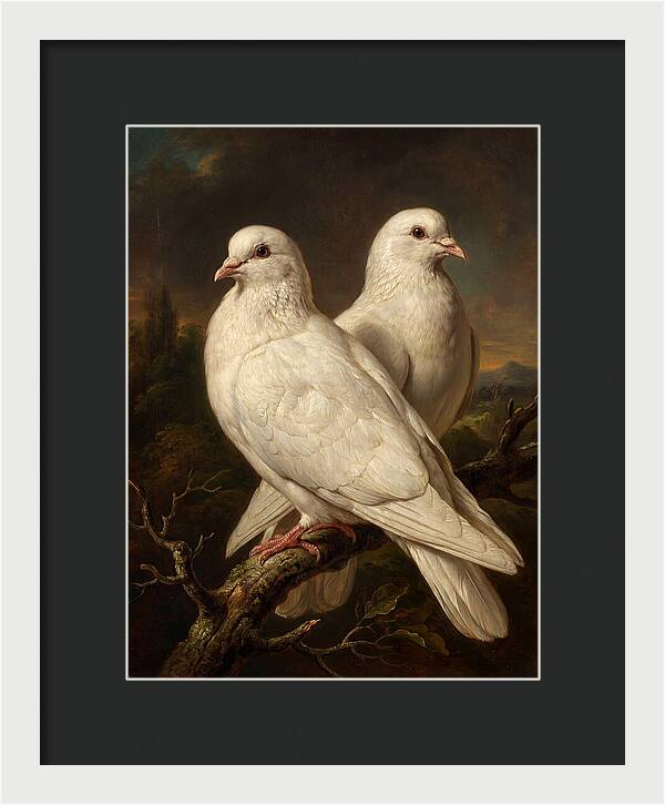 Doves Perched In Harmony