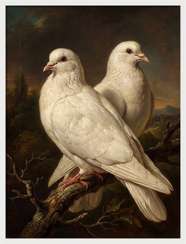 Doves Perched In Harmony