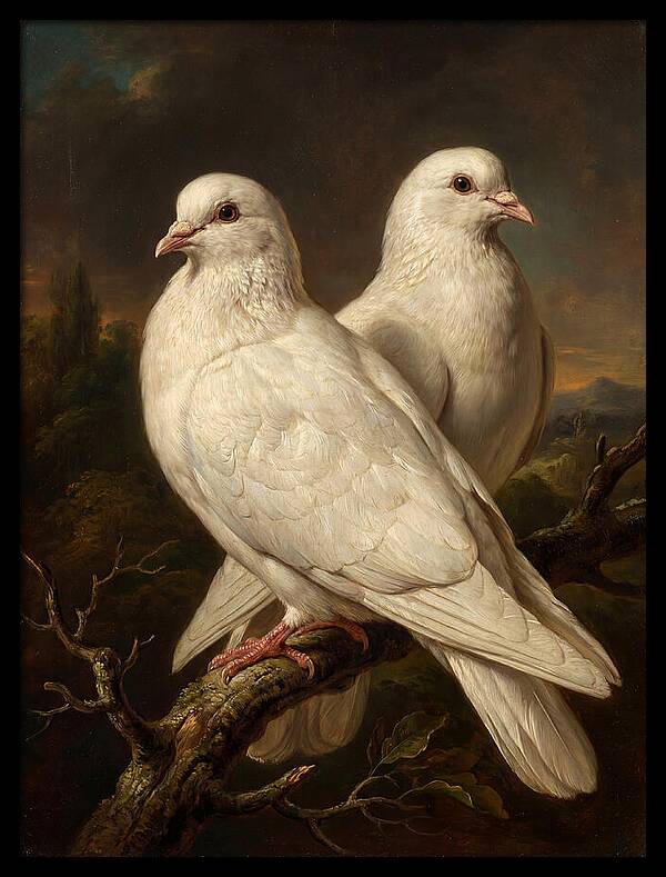 Doves Perched In Harmony