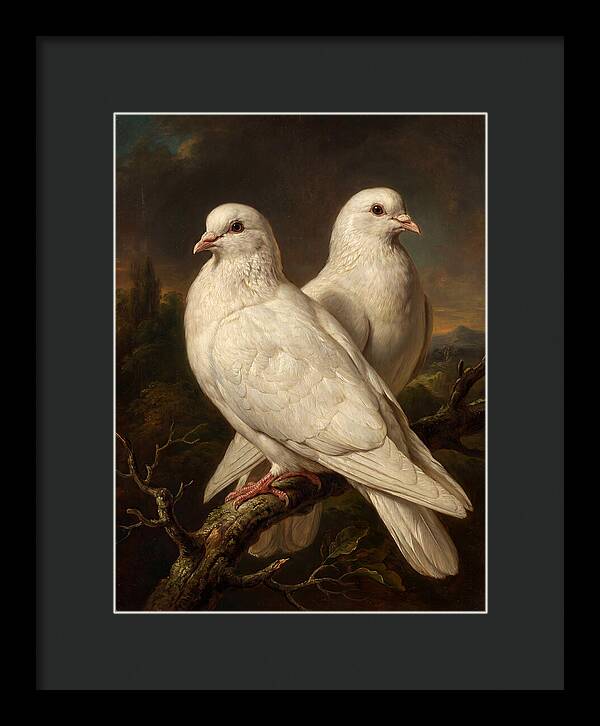 Doves Perched In Harmony