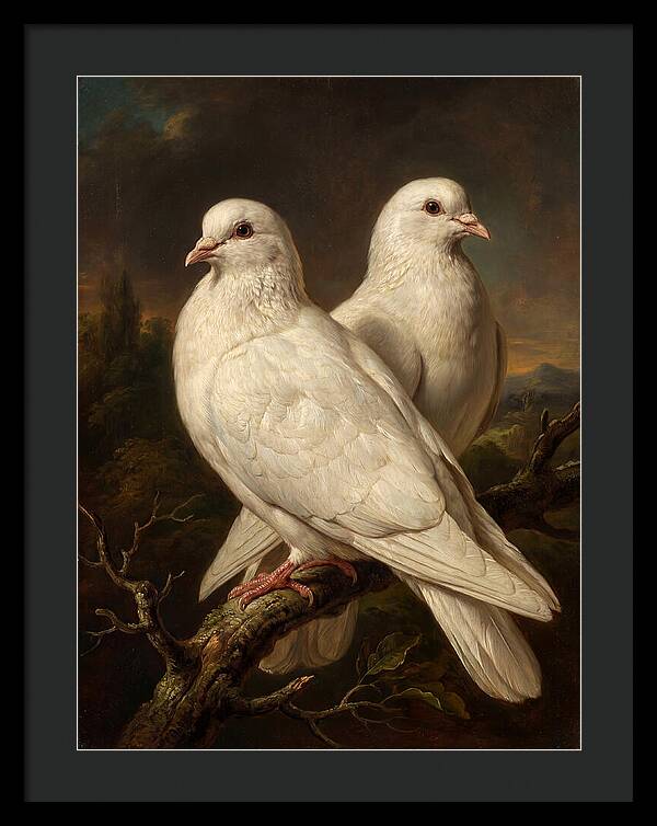 Doves Perched In Harmony