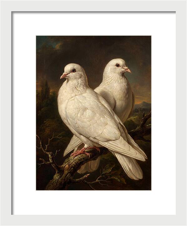 Doves Perched In Harmony