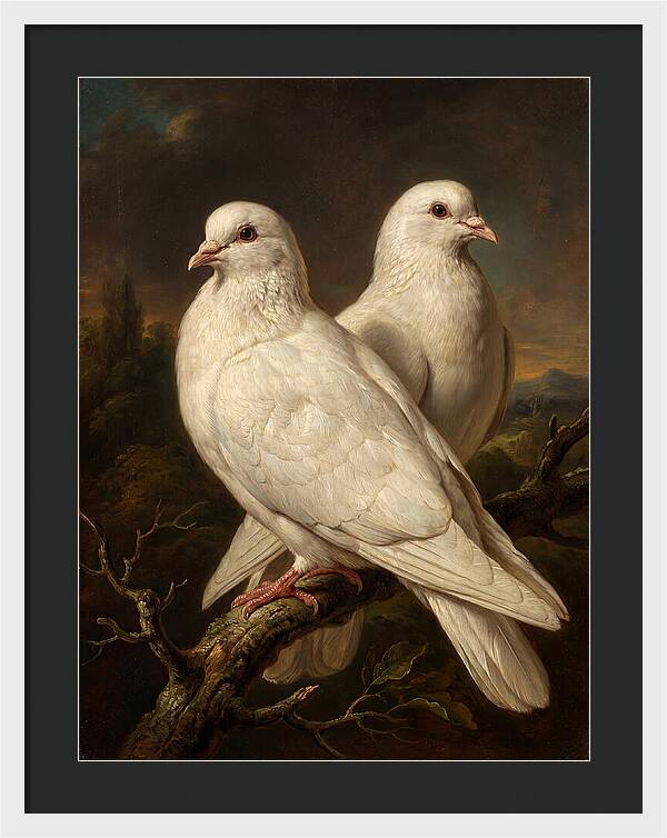 Doves Perched In Harmony