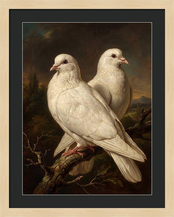 Doves Perched In Harmony