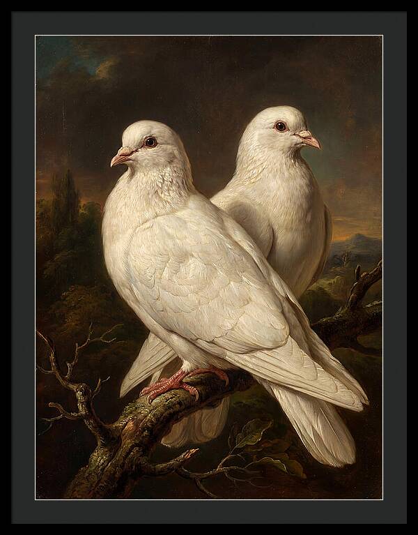 Doves Perched In Harmony