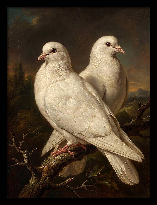 Doves Perched In Harmony