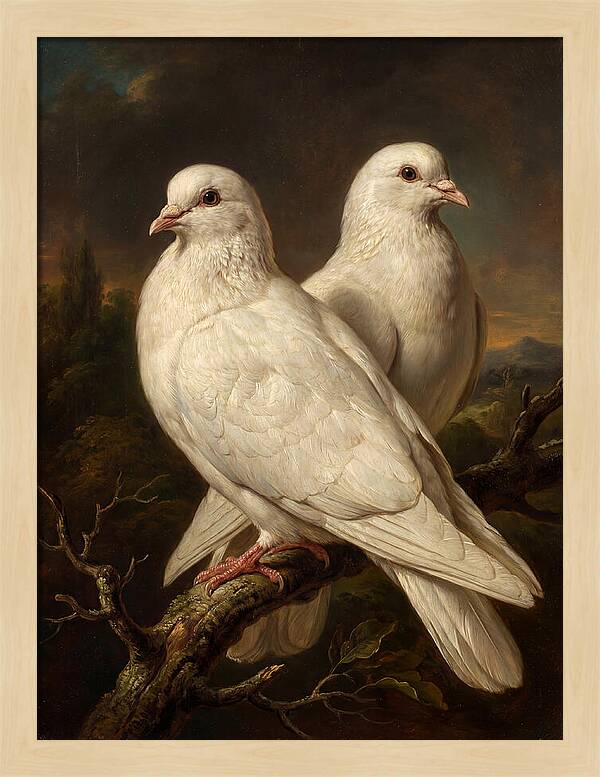 Doves Perched In Harmony