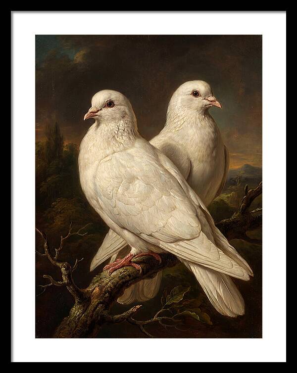 Doves Perched In Harmony