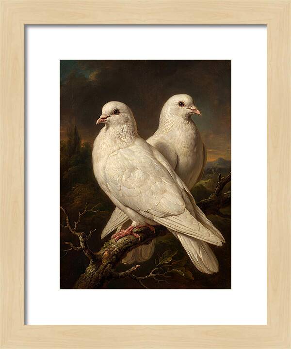 Doves Perched In Harmony