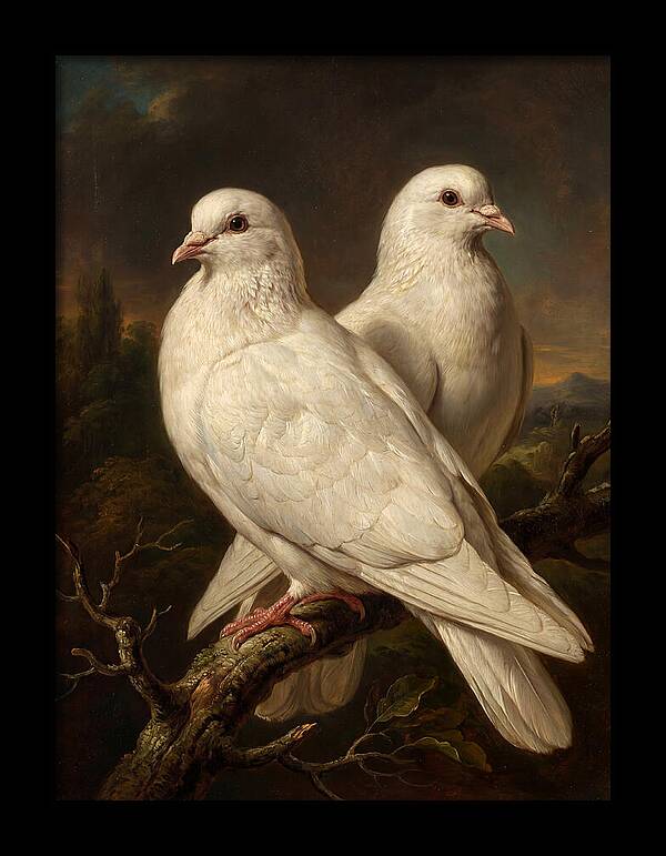 Doves Perched In Harmony