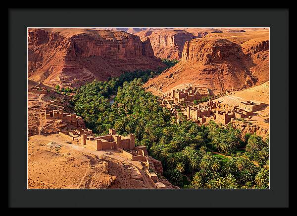 Draa Valley Oasis From Above