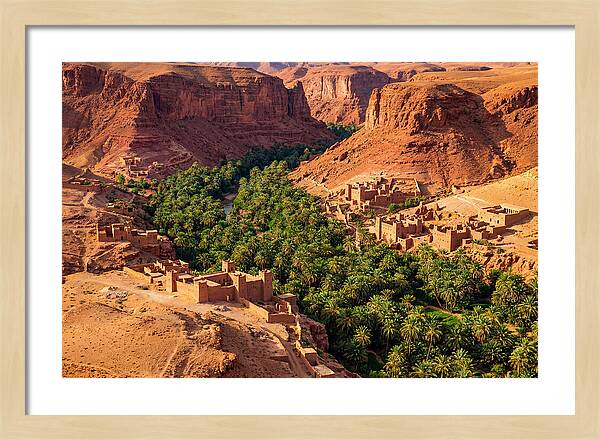 Draa Valley Oasis From Above