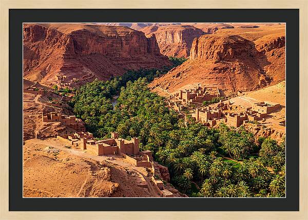 Draa Valley Oasis From Above
