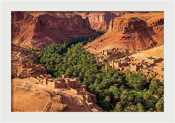 Draa Valley Oasis From Above