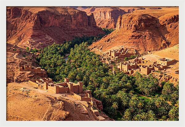 Draa Valley Oasis From Above