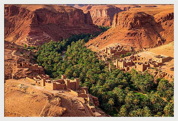 Draa Valley Oasis From Above
