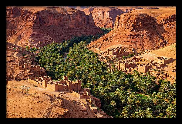 Draa Valley Oasis From Above