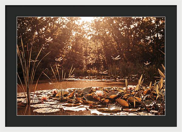 Dragonflies Over Summer Lily Pond