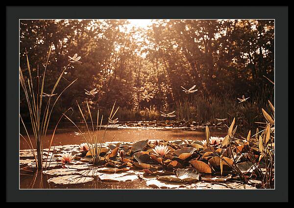 Dragonflies Over Summer Lily Pond