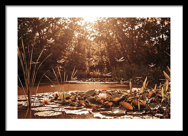 Dragonflies Over Summer Lily Pond