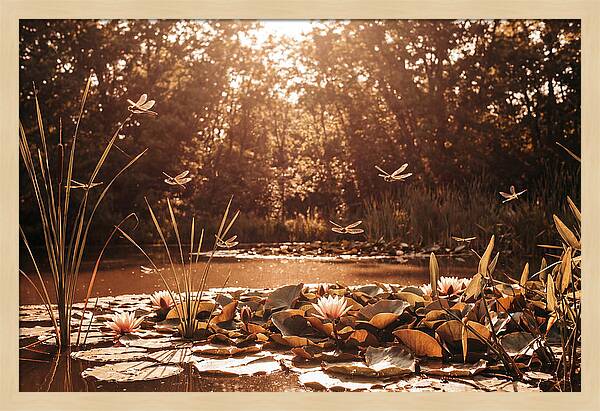 Dragonflies Over Summer Lily Pond