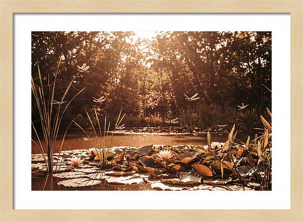 Dragonflies Over Summer Lily Pond