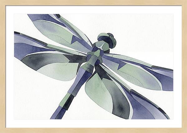 Dragonfly In Soft Hues