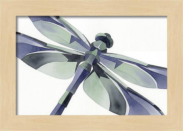 Dragonfly In Soft Hues