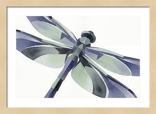 Dragonfly In Soft Hues