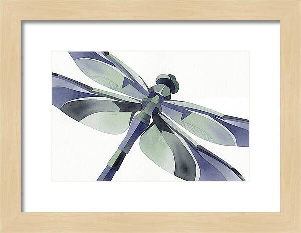 Dragonfly In Soft Hues