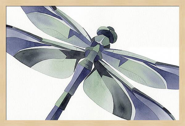 Dragonfly In Soft Hues