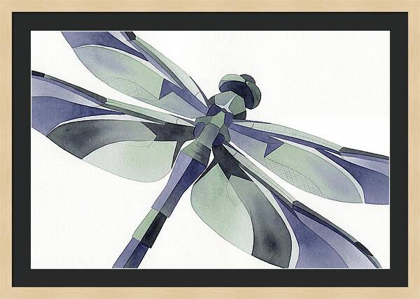 Dragonfly In Soft Hues