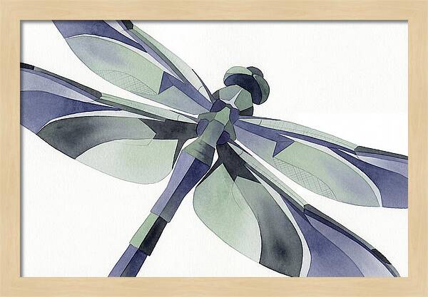 Dragonfly In Soft Hues