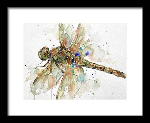 Dragonfly In Watercolor