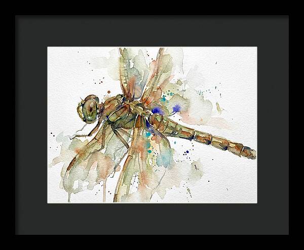 Dragonfly In Watercolor