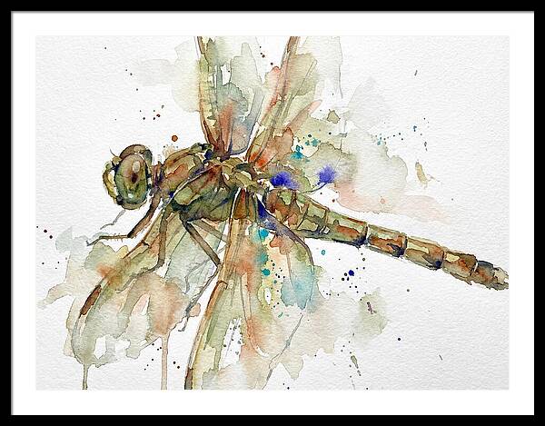 Dragonfly In Watercolor