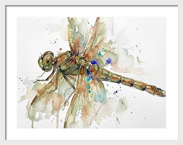 Dragonfly In Watercolor