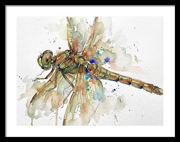 Dragonfly In Watercolor