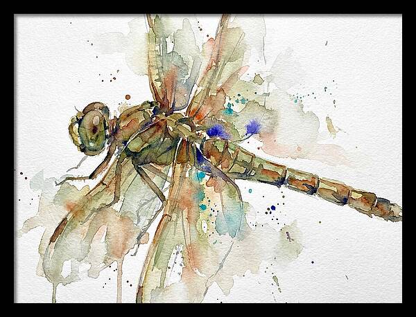 Dragonfly In Watercolor