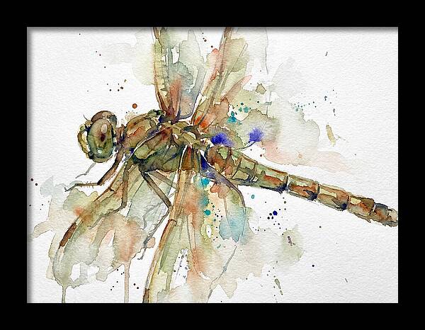 Dragonfly In Watercolor