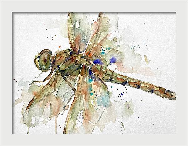 Dragonfly In Watercolor