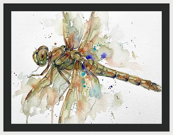 Dragonfly In Watercolor
