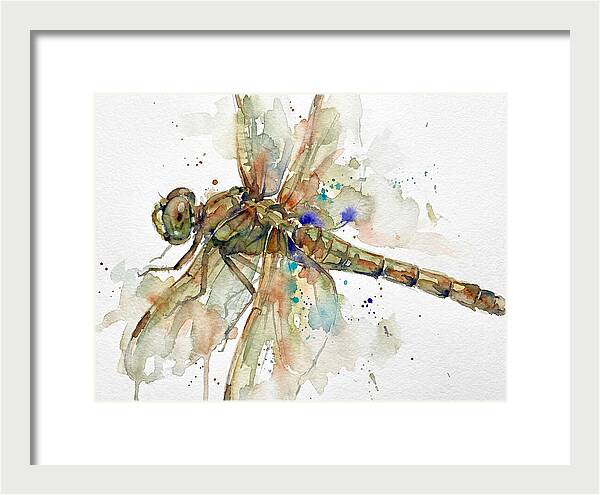 Dragonfly In Watercolor