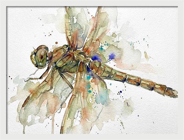 Dragonfly In Watercolor