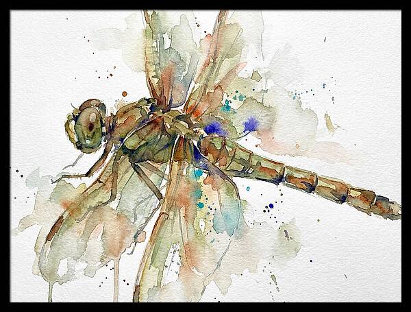 Dragonfly In Watercolor