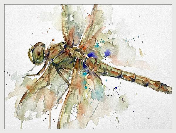 Dragonfly In Watercolor