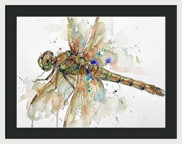 Dragonfly In Watercolor