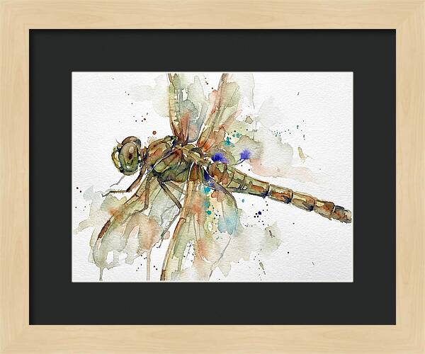 Dragonfly In Watercolor